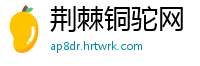 荆棘铜驼网